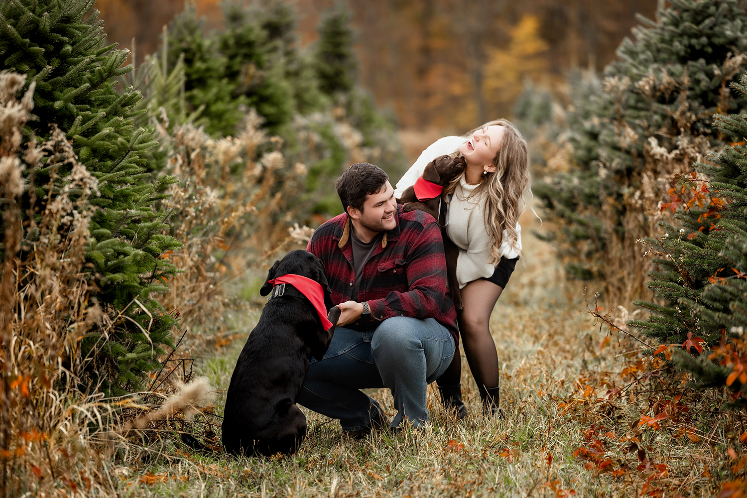 Holiday photo of a couple surrounded by Christmas trees and their two dogs wearing red scarves.